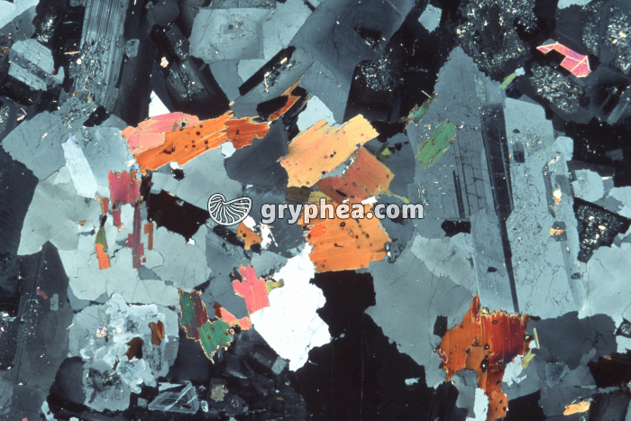 Granite LPA x3 - gryphea.com